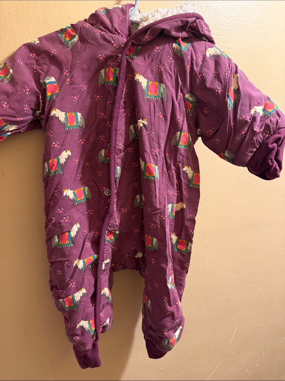 Little Green Radicals Plum Hooded One-Piece with Colorful Horse Print